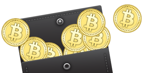 Bitcoin Wallet