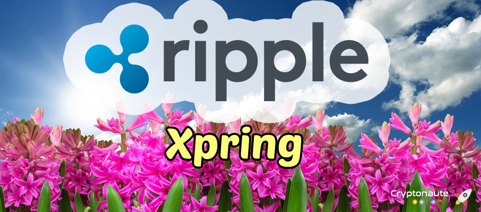 Xpring : Le nouvel écosystème XRP de Ripple pour aider les startups