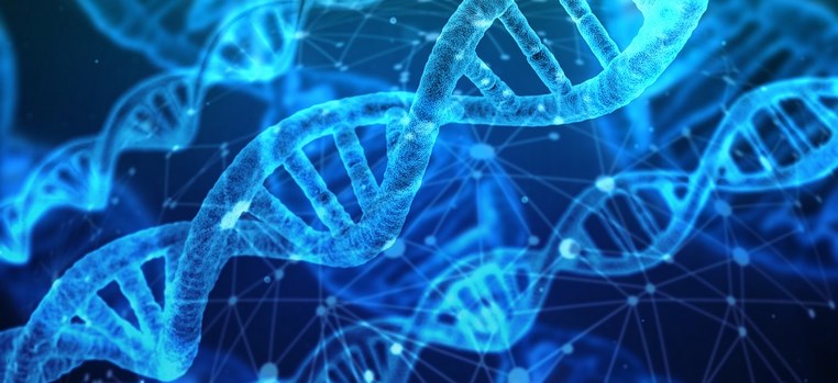 ADN : La blockchain pour stocker et partager les données génomiques