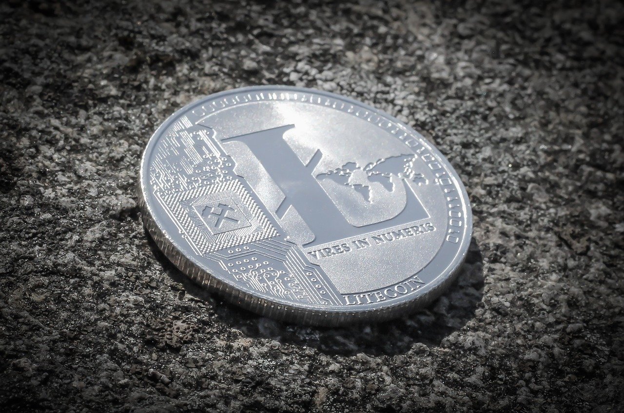 Pièce de Litecoin plateforme crypto monnaie