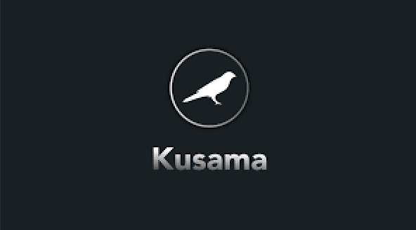 What is Kusama coin?, Is Kusama better than Polkadot?