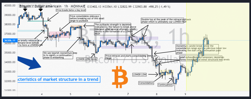 caratéristiques structure marché bitcoin