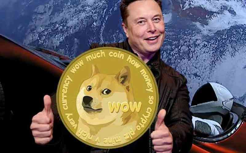 Pour Elon Musk : «  Dogecoin est un meilleur moyen de paiement que le Bitcoin »