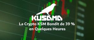 KUSAMA KSM gagne 39 % en quelques heures