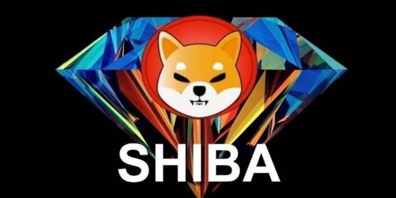 Ça commence par devenir sérieux avec Shiba Inu