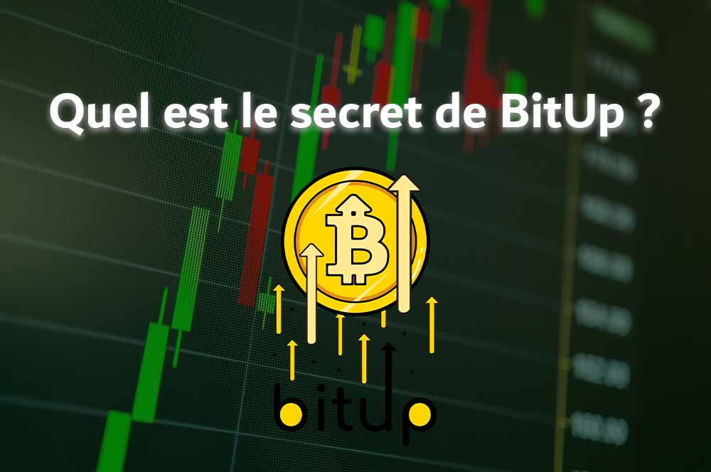 what-is-the-secret-of-bitup-150-000-in-3-days