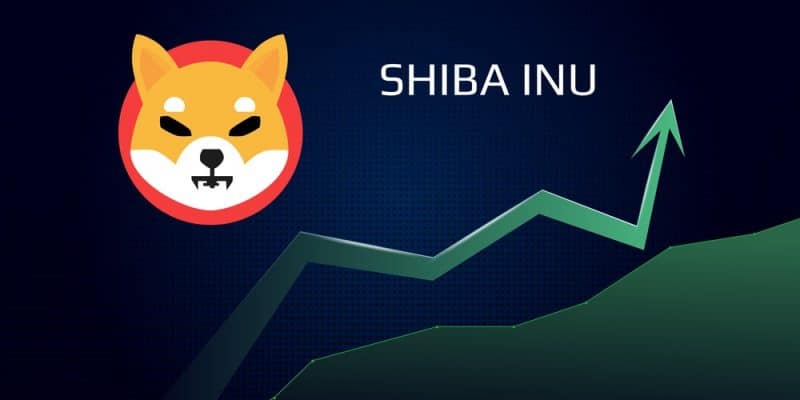 Shiba Inu (SHIB) : Enfin dans le top 10 !