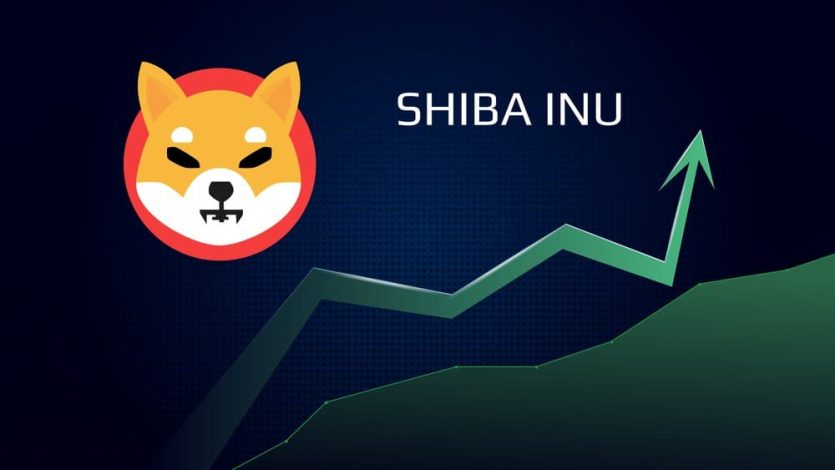 Shiba Inu (SHIB) : Enfin dans le top 10 !