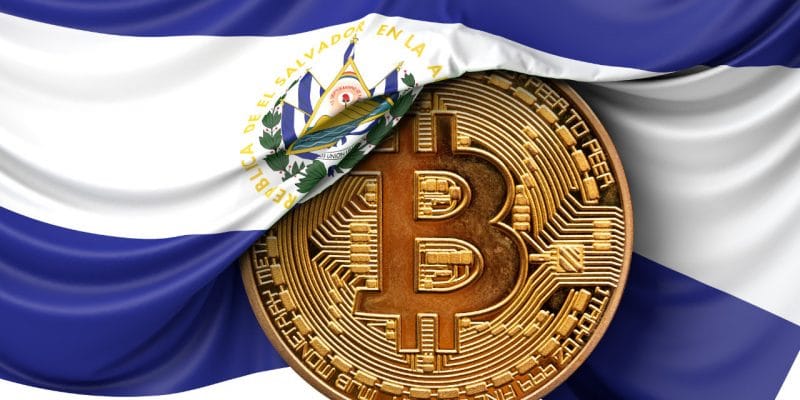 Le Salvador célèbre son « Black Friday » en acquérant 100 nouveaux bitcoins