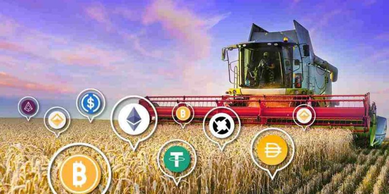 Harvest Finance (FARM) : + 150 % en 24 heures !