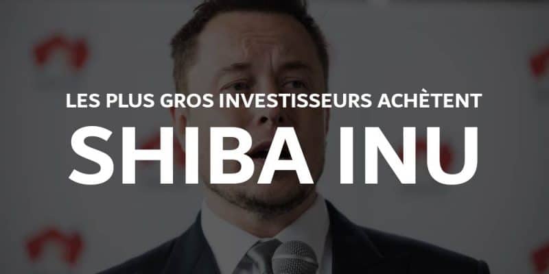 Shiba Inu SHIB Cryptocurrency elon musk