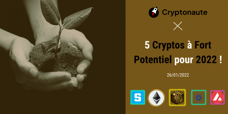 5 Cryptos à Fort Potentiel pour 2022 !