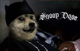 C’est Quoi Snoop Doge Crypto (SNOGE)?