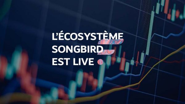 songbird ecosysteme live lancement