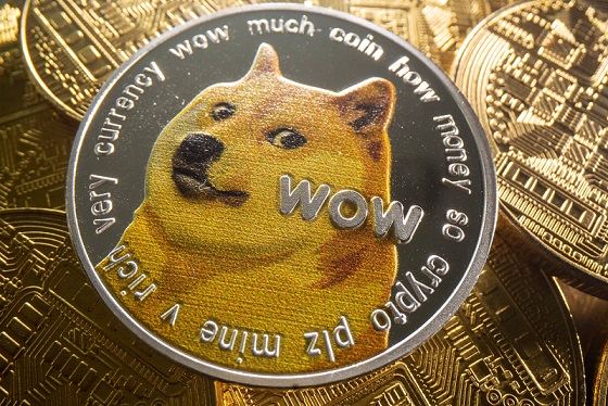 Crypto : Pourquoi le Dogecoin explose ?
