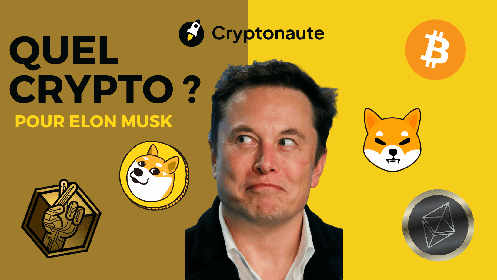 quel crypto pour Elon Musk