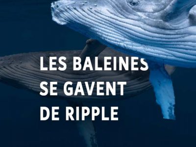 ripple XRP baleines whales