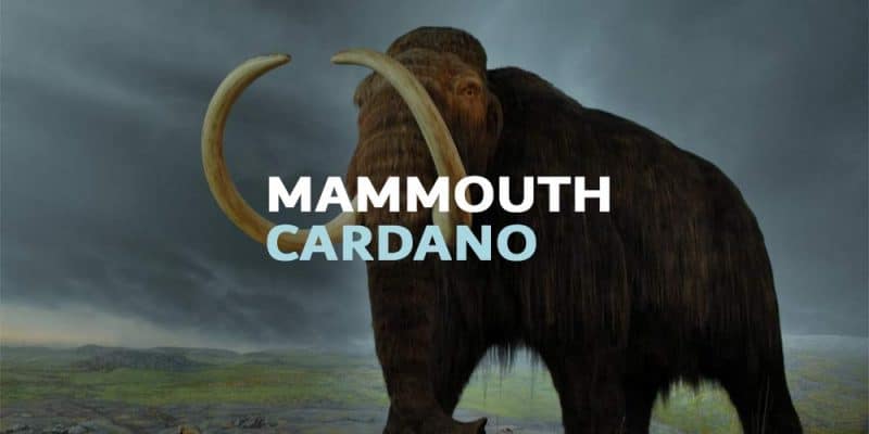 cardano ada mammouth colossal