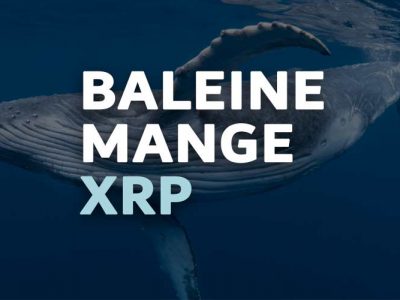 XRP Ripple Baleine Crypto Monnaie