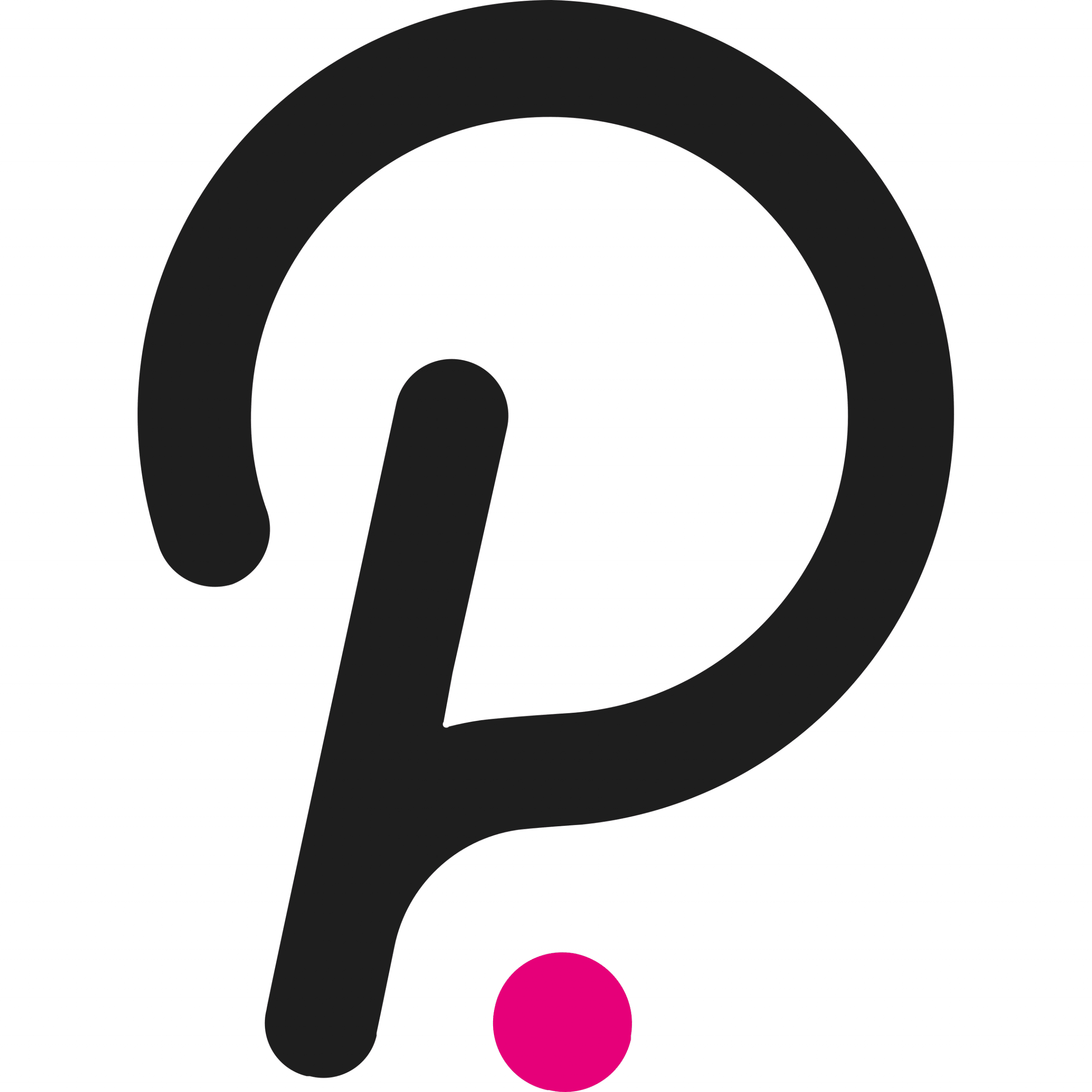 polkadot logo