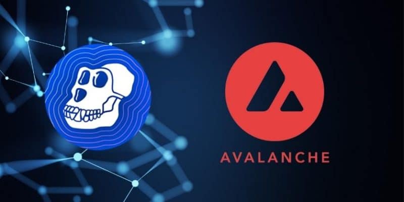 Avalanche souhaite accueillir Apecoin sur son réseau