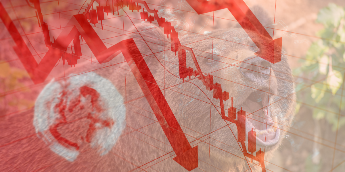bear market