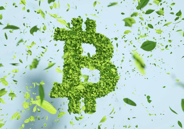 Cryptos : Quels sont les projets les plus verts ?