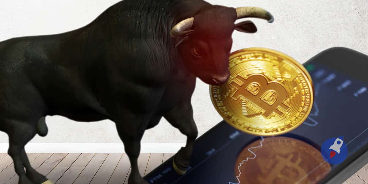 bull-trap-crypto