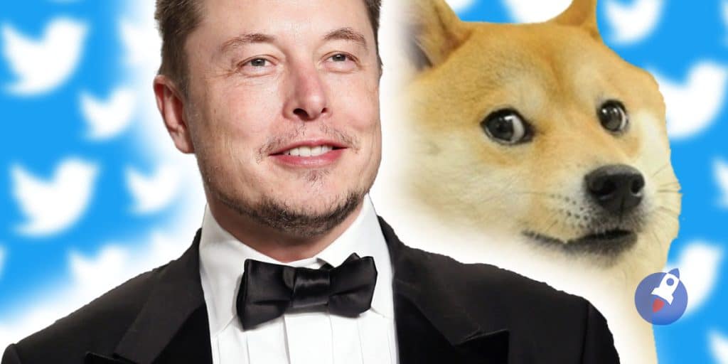 Chute du Dogecoin : corrélation avec la démission d’Elon Musk ?