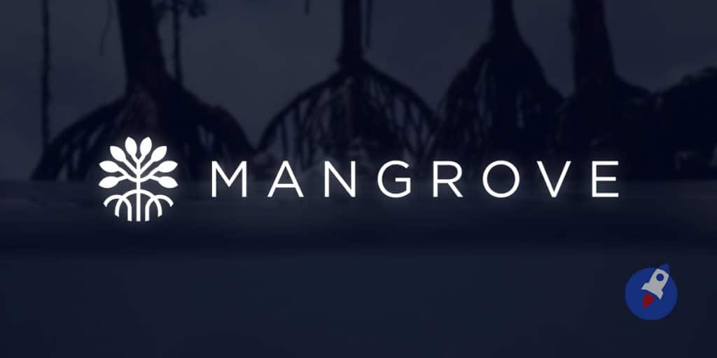 mangrove crypto