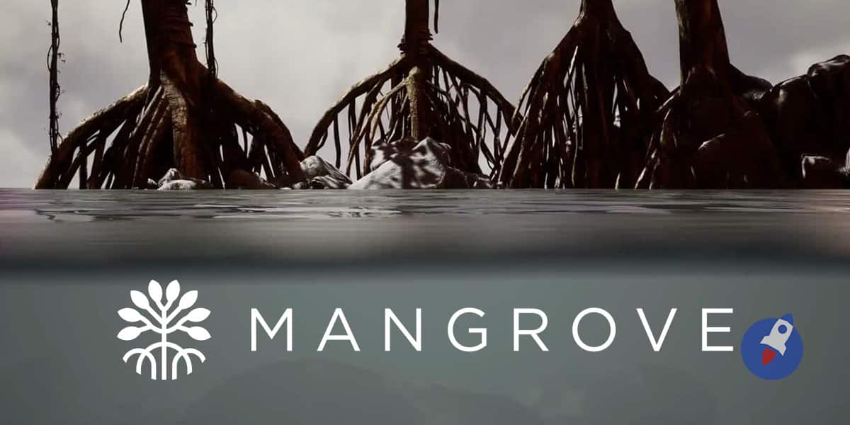 mangrove exchange