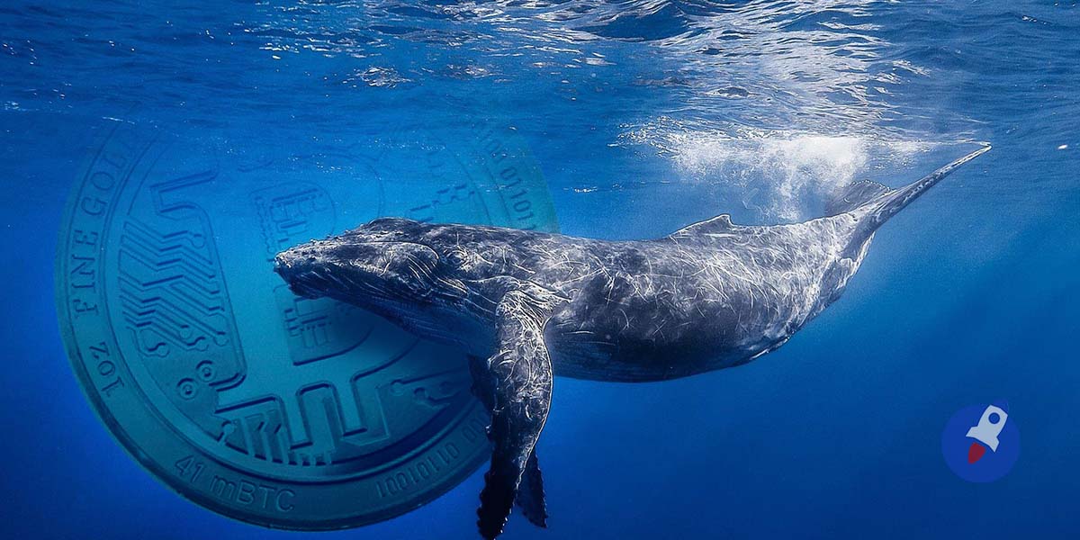 whale-bitcoin