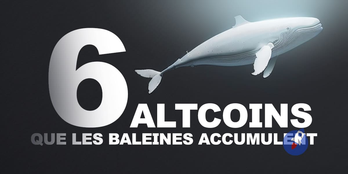 altcoins-baleines