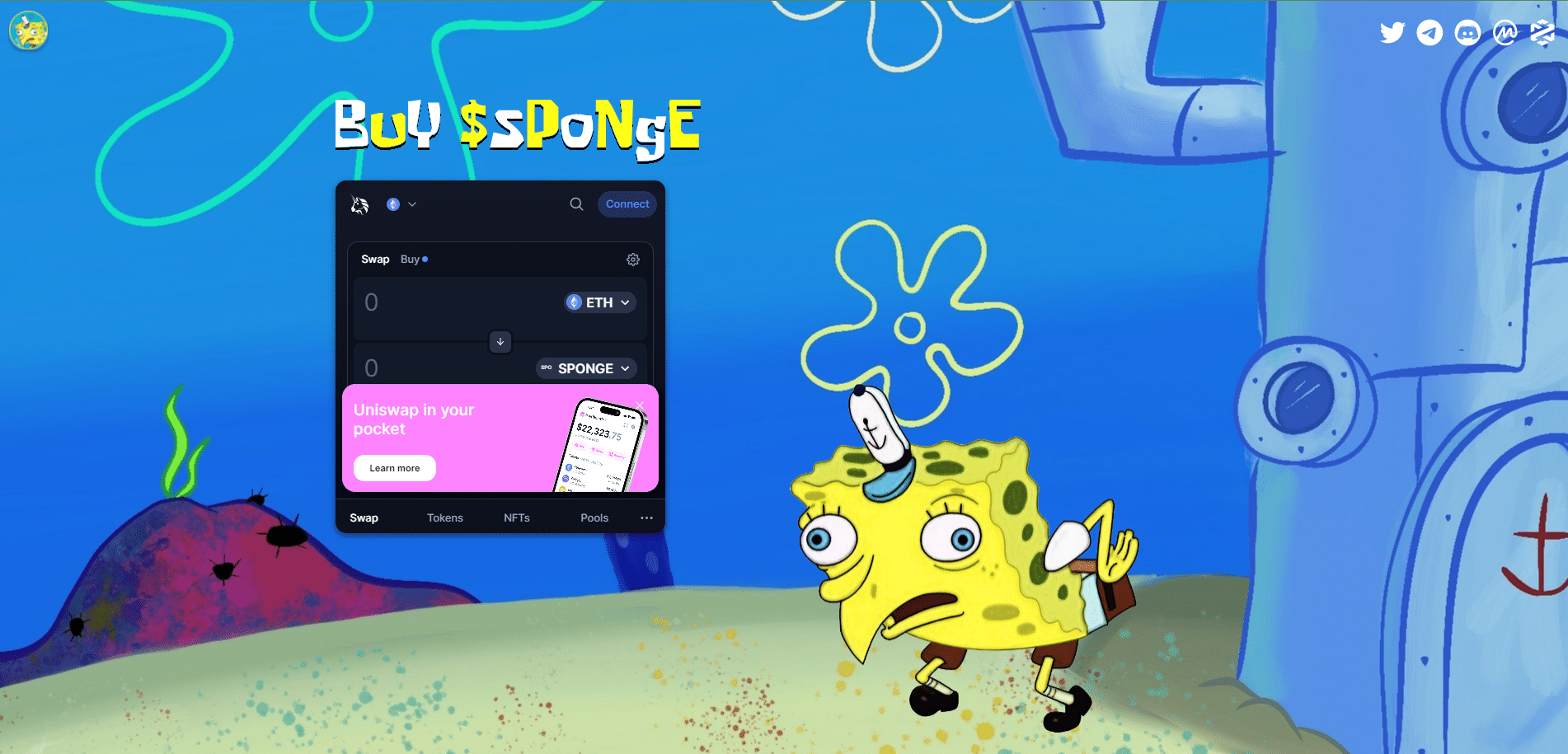 sponge splash