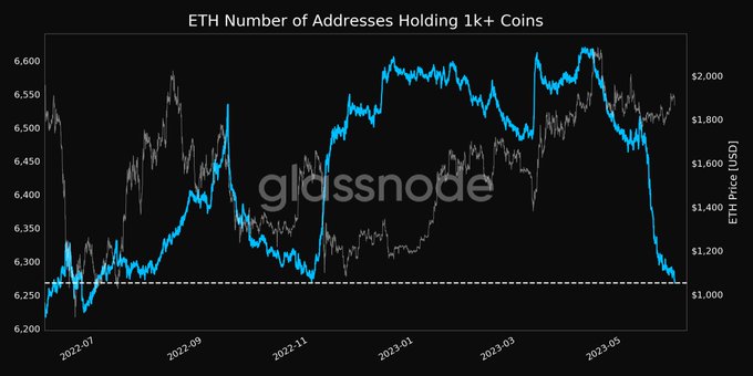 Evolution du nombre de détenteurs de tokens détenant plus de 1000 ETH dans leurs portefeuilles - Source : GlassNode