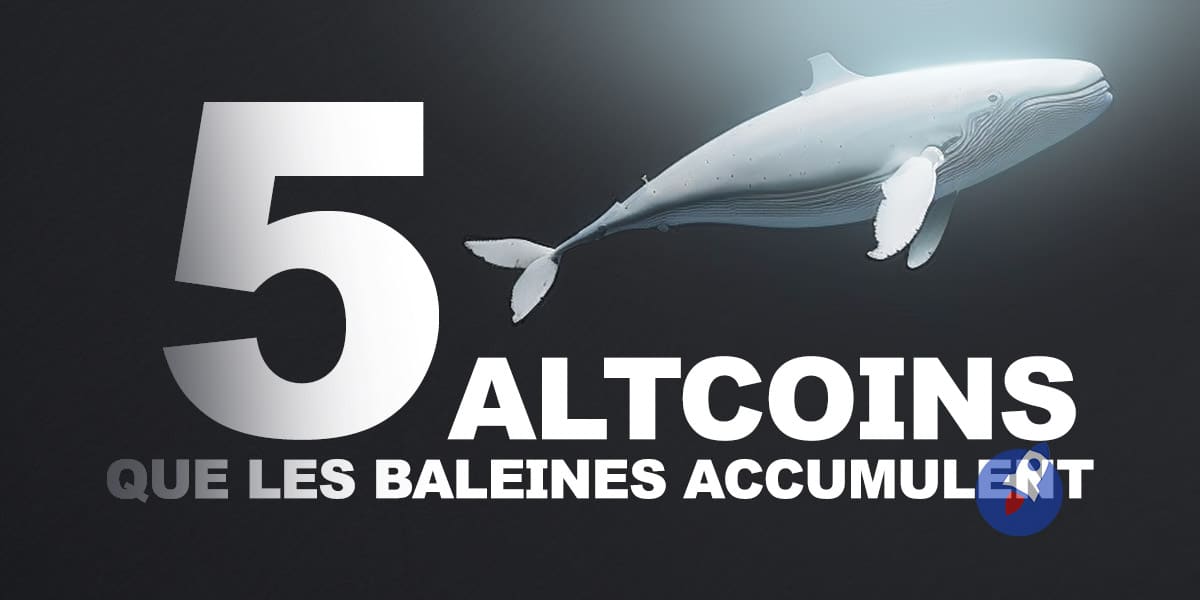 altcoins-baleines