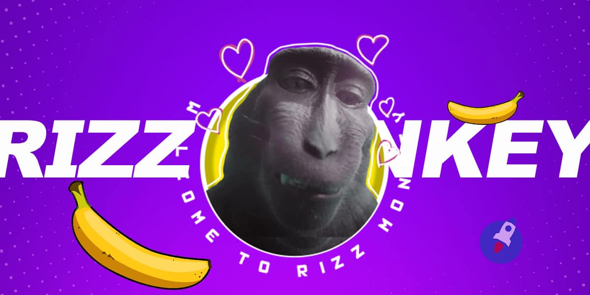 rizz-monkey