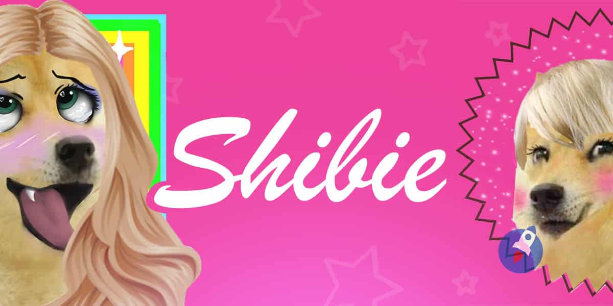 shibie-token