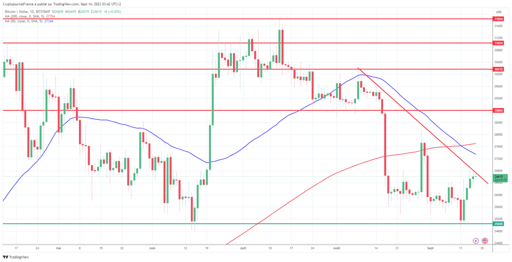 Graphique bitcoin journalier