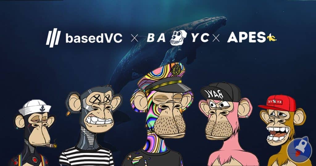 Bored Ape Yacht Club va lancer son capital risque pour la communauté