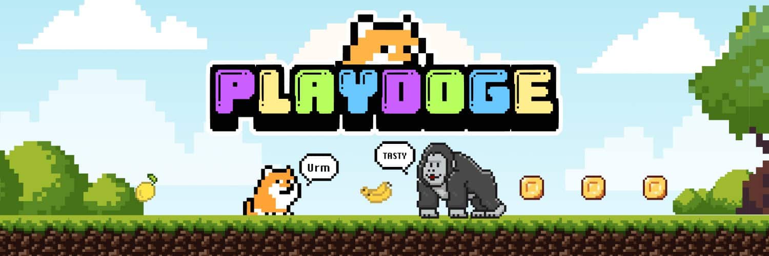 PlayDoge Banner