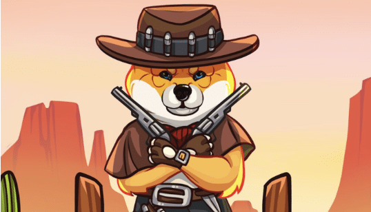 Shiba Shootout