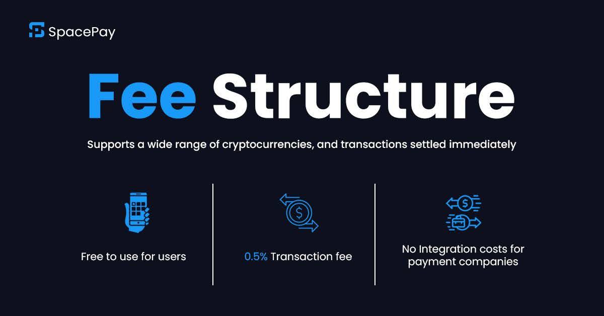 space ray structure gratuite