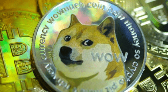Doge2014