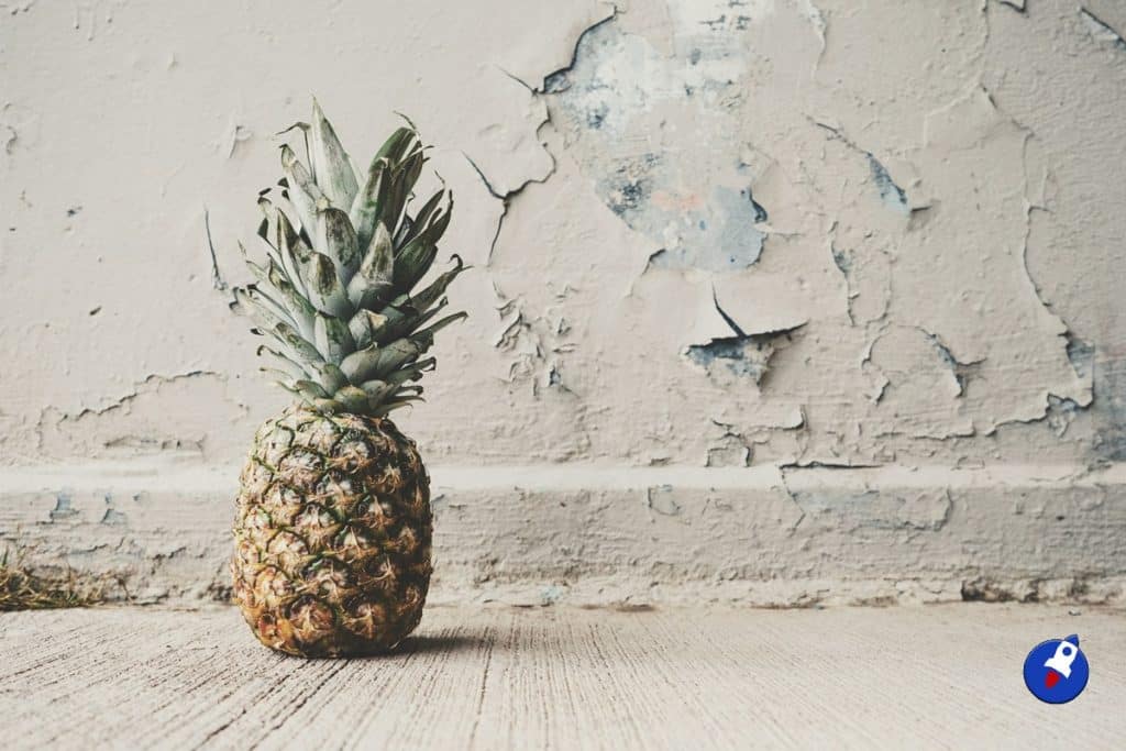 Ils lancent une application blockchain pour les cultivateurs d’ananas du Suriname