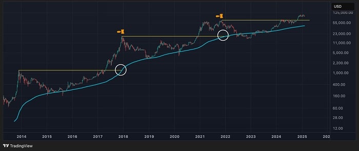 BTC Bull