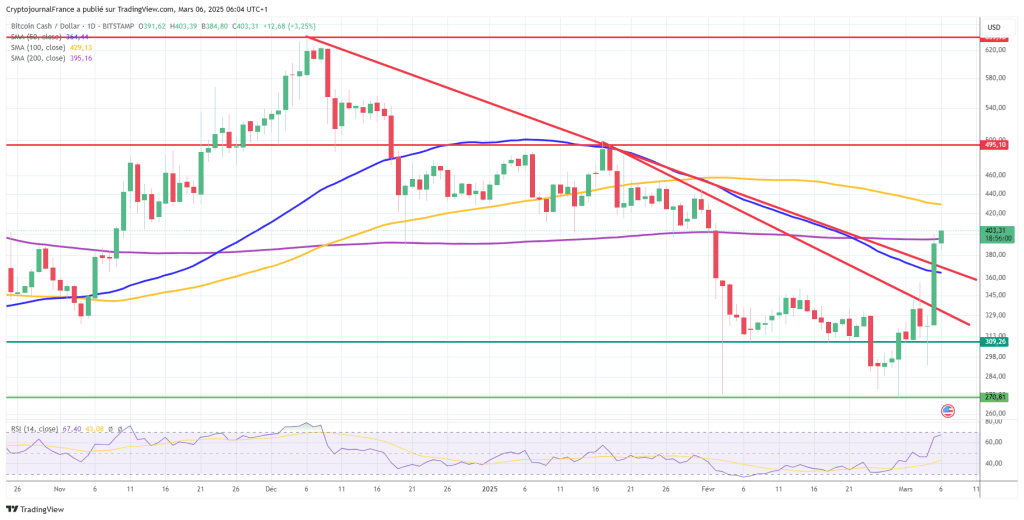Graphique Bitcoin Cash journalier