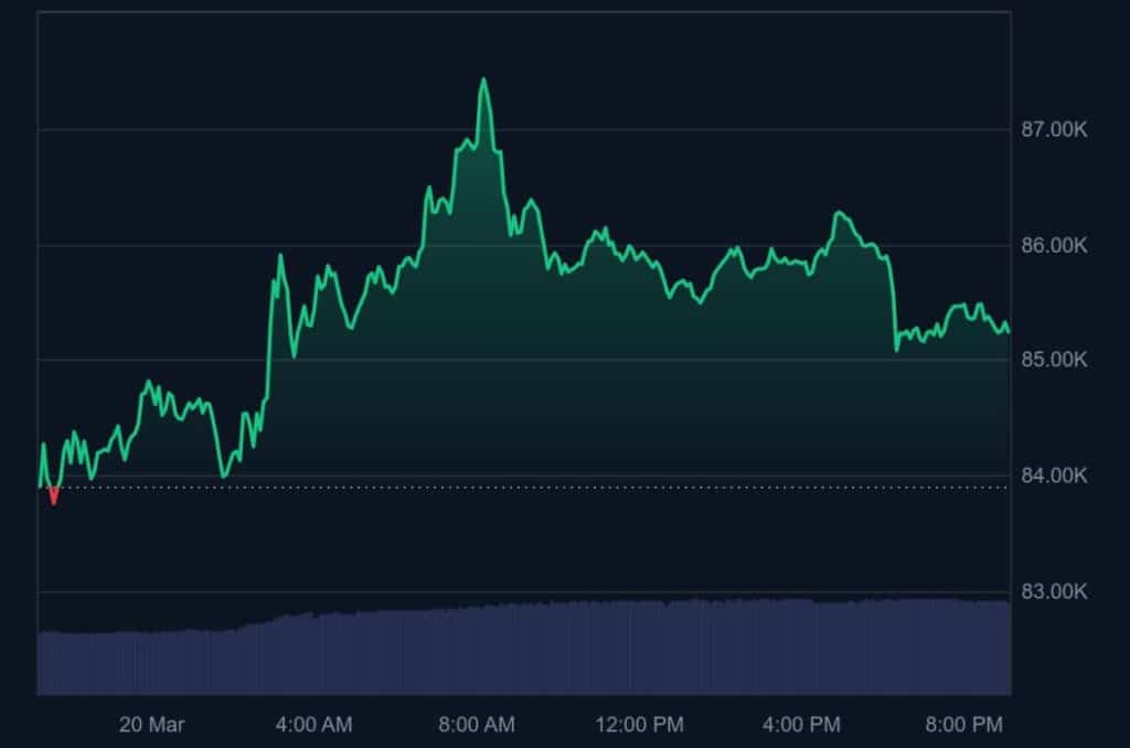 BTC Bull
