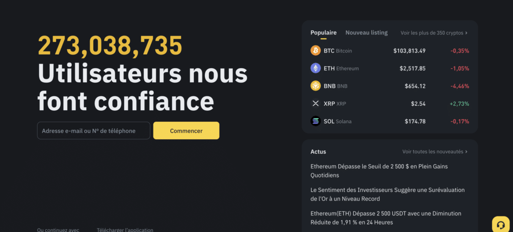 Page d'accueil Binance Wallet