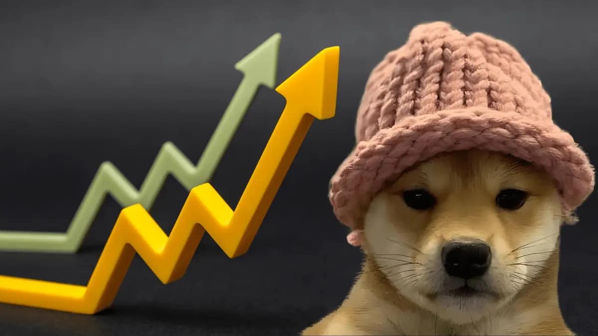 Dogwifhat